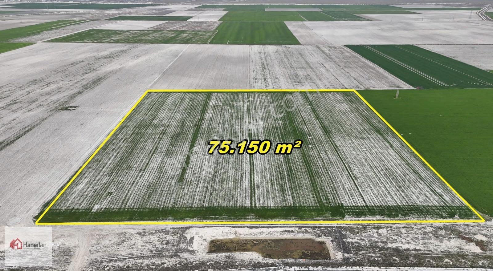 Hanedan'dan Karatay Saraçoğlu Erler Mah.75.159 M2 Satılık Arazi - Görsel 27