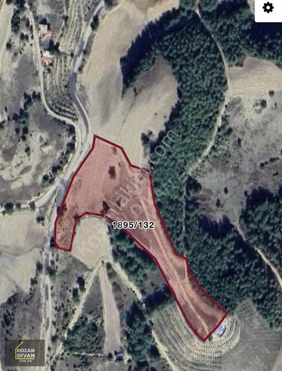 Kozan Divan Emlak'tan Karabucak'ta 16.837 M2 Hurma Bahçesi - Görsel 2