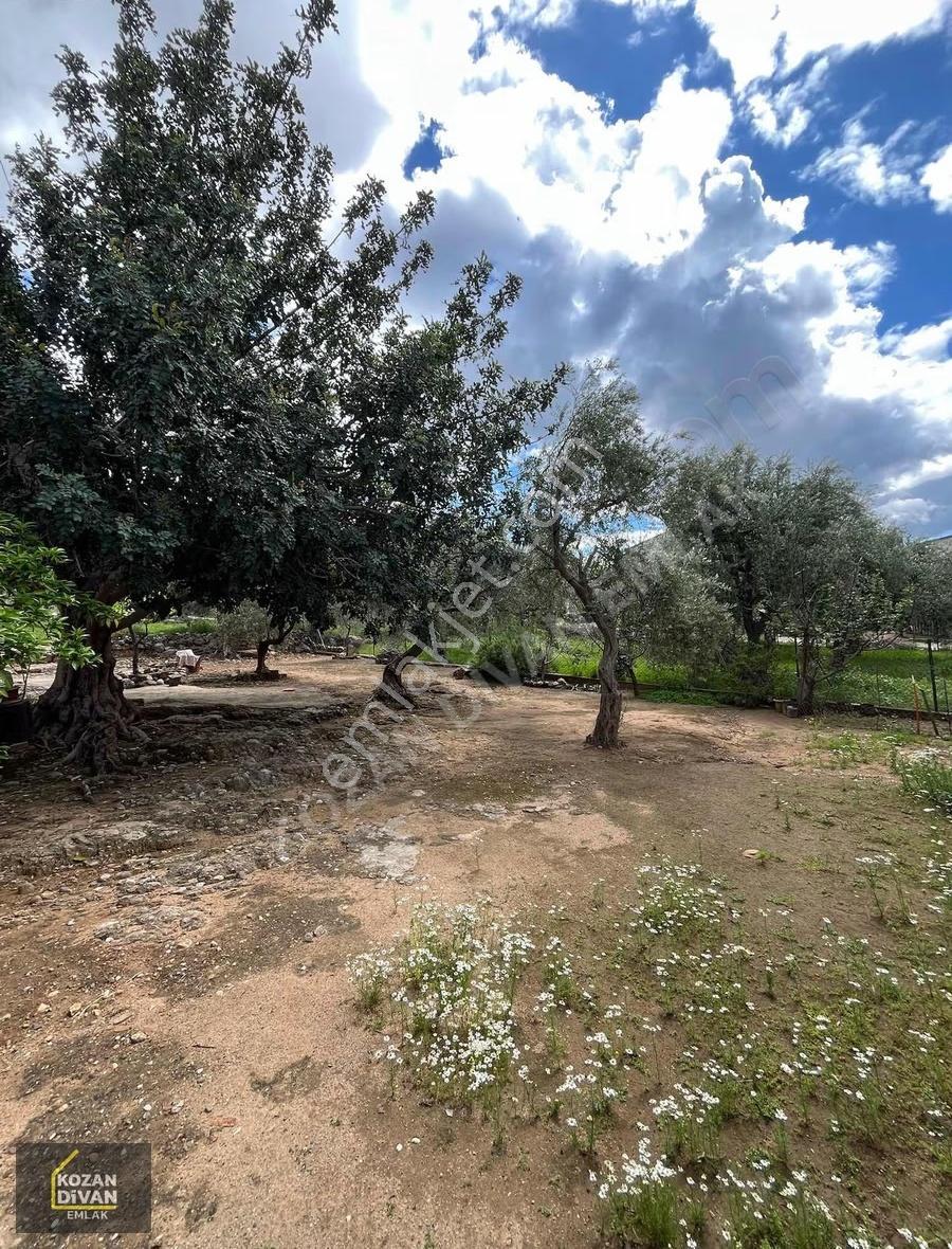 Kozan Divan Emlak'tan Bağlar'da 1345 M2 İçerisinde Çift Müstakil - Görsel 10