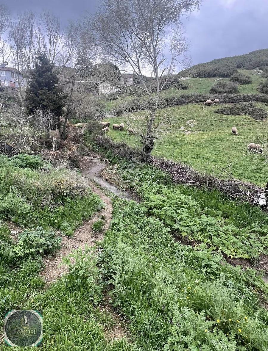 Yenice İskerder Mah. Elektrik Su Olan Bahçe 1743 M2 - Görsel 5