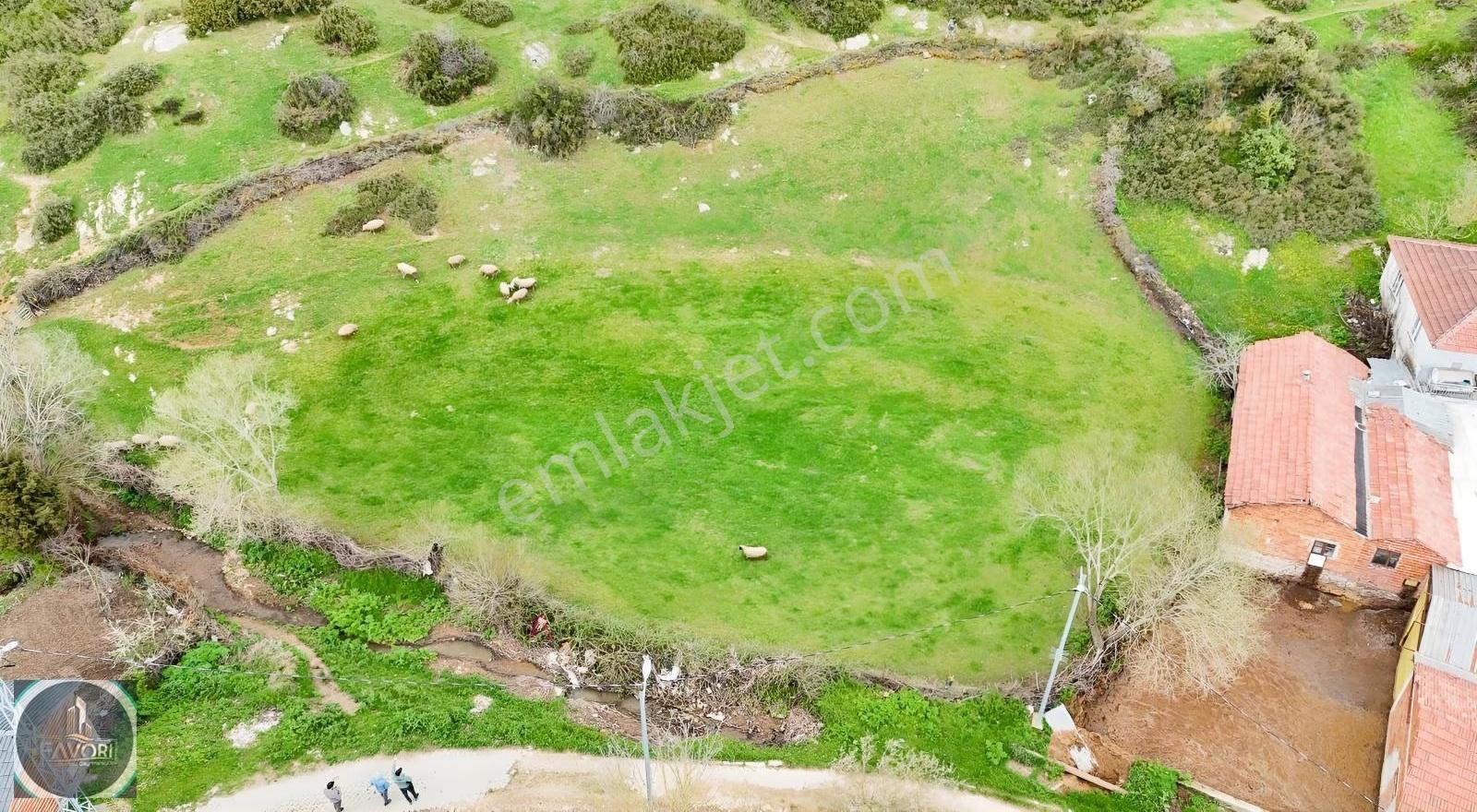 Yenice İskerder Mah. Elektrik Su Olan Bahçe 1743 M2