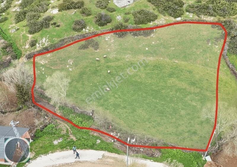 Yenice İskerder Mah. Elektrik Su Olan Bahçe 1743 M2 - Görsel 4