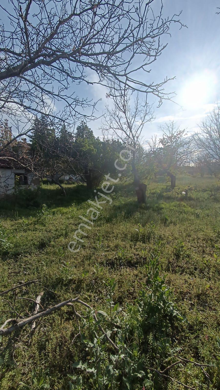 Sincan Ayaş Oltan Mah Tek Tapu 5500m2 Köy İçinde Satılık Arsa - Görsel 23