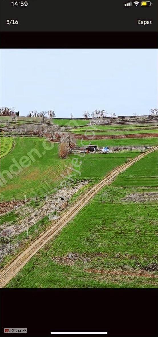 Sakarya Adapazarı Salmanlıda Satılık Yollu Arazi - Görsel 3