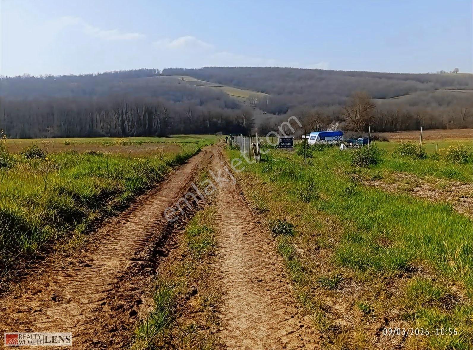 Sakarya Adapazarı Salmanlıda Satılık Yollu Arazi