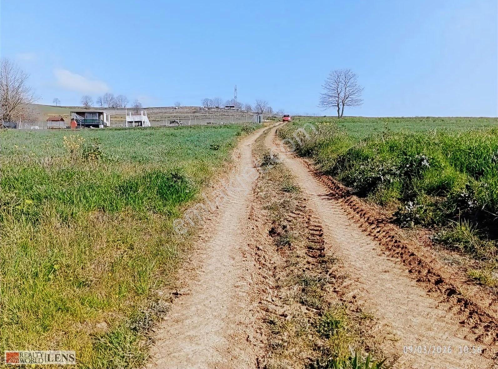 Sakarya Adapazarı Salmanlıda Satılık Yollu Arazi - Görsel 6