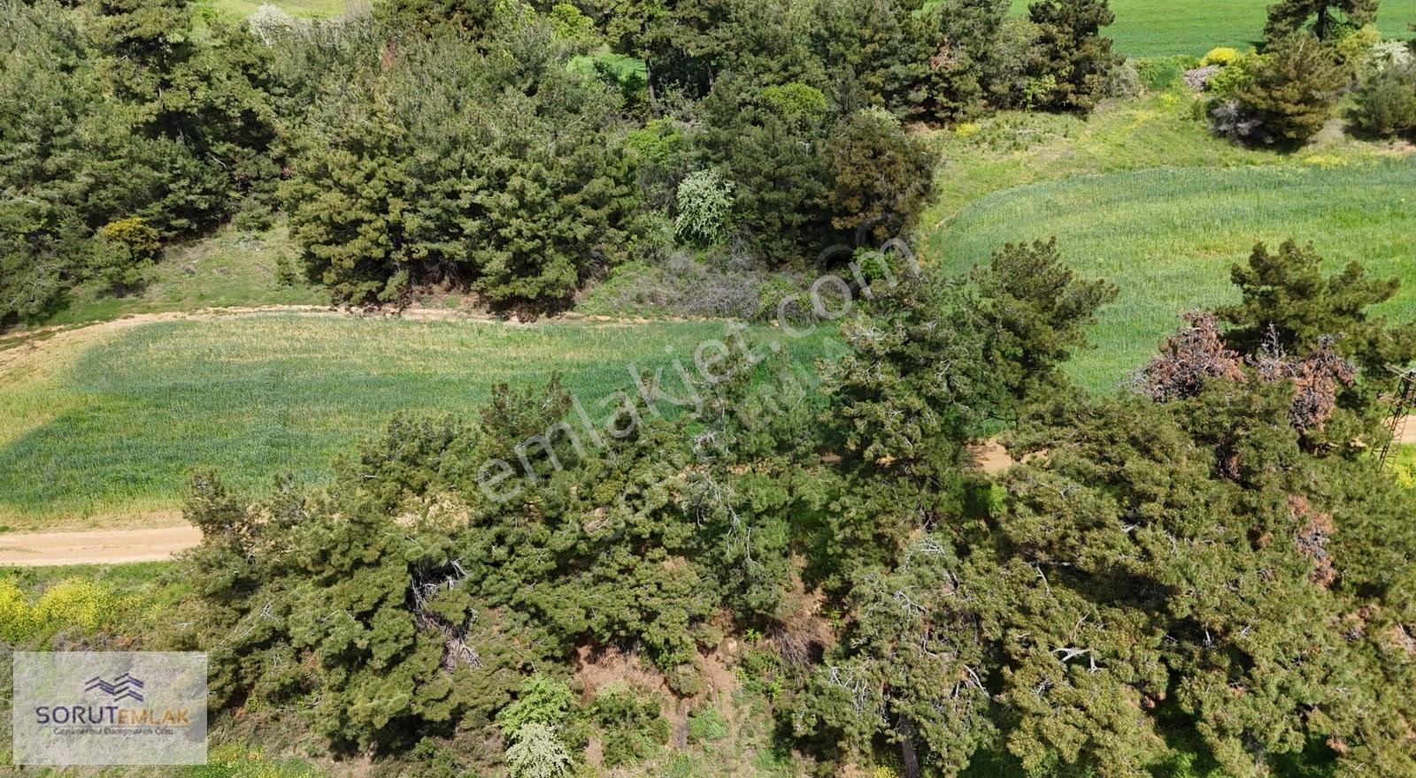 Gökçetepe Deniz Manzaralı %30 İmarlı 403 M² Satılık Arsa - Görsel 16