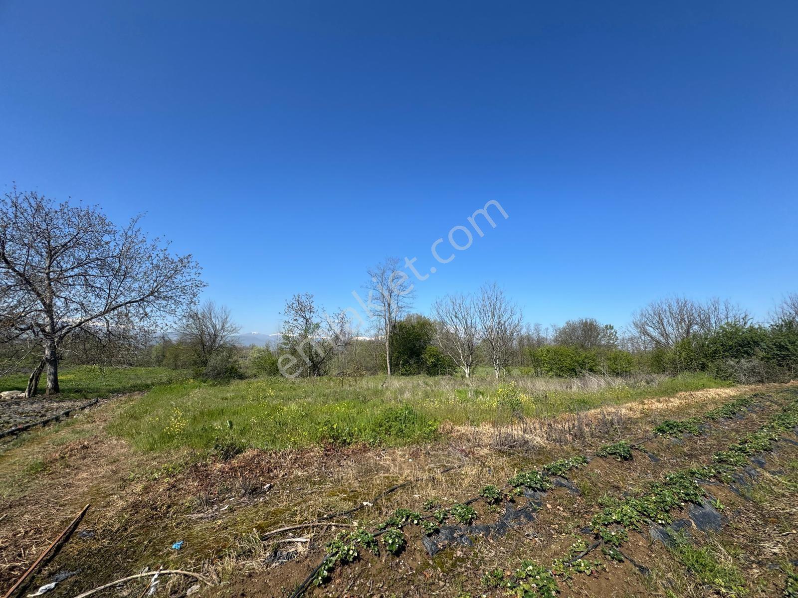 Aydınlık Emlak'tan İnegöl Kurşunluda Satılık 860 M² Tarla - Görsel 30