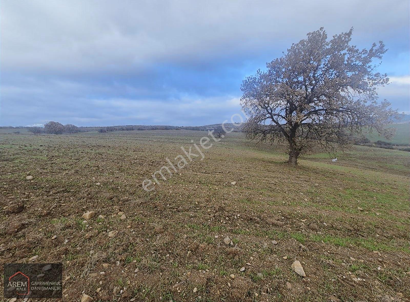 Çanakkale Merkez Işıklar Köyü Satılık 930 M² Kooperatif Hissesi - Görsel 3