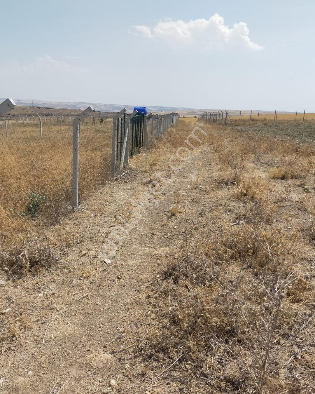 Gölbaşı Soğulcak'ta 1500m² Tarla Yatırım Fırsatı - Görsel 8