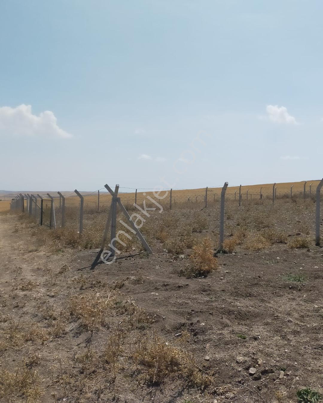 Gölbaşı Soğulcak'ta 1500m² Tarla Yatırım Fırsatı - Görsel 9