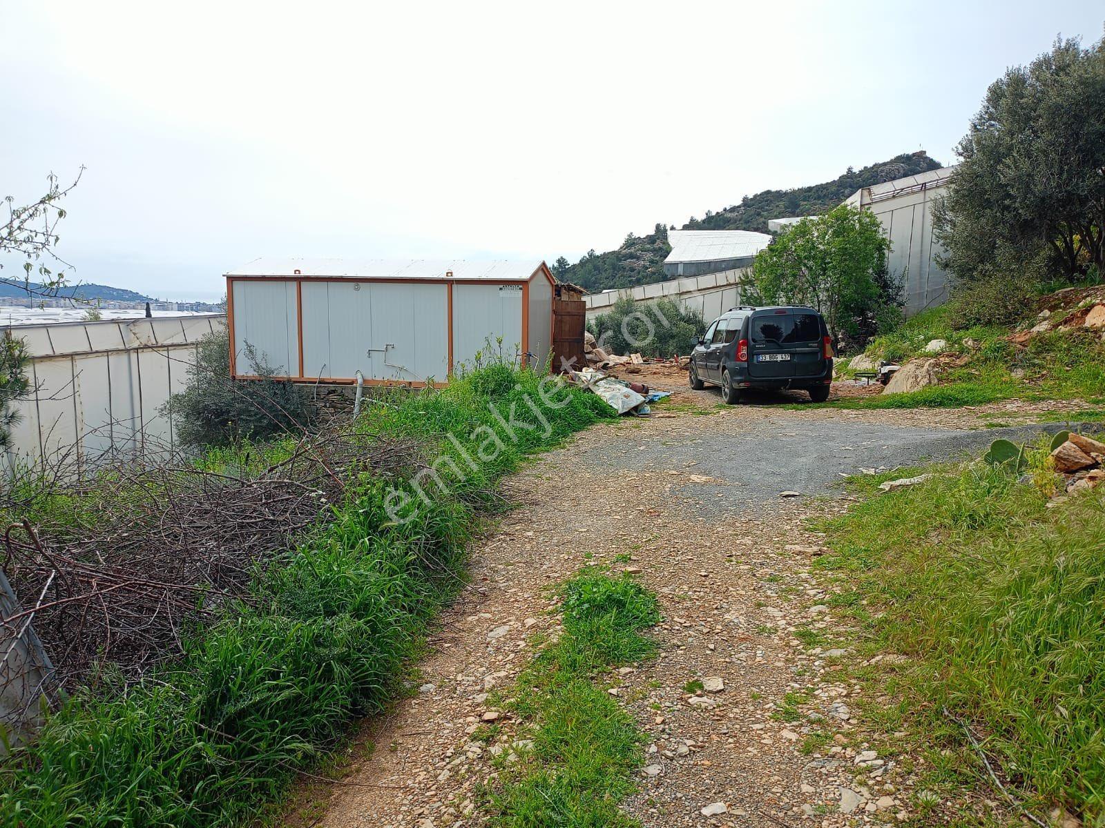 Acil Satılık Sera Bölgesinde, Suya Yakın, 780 M² Yatırımlık Arazi - Görsel 2