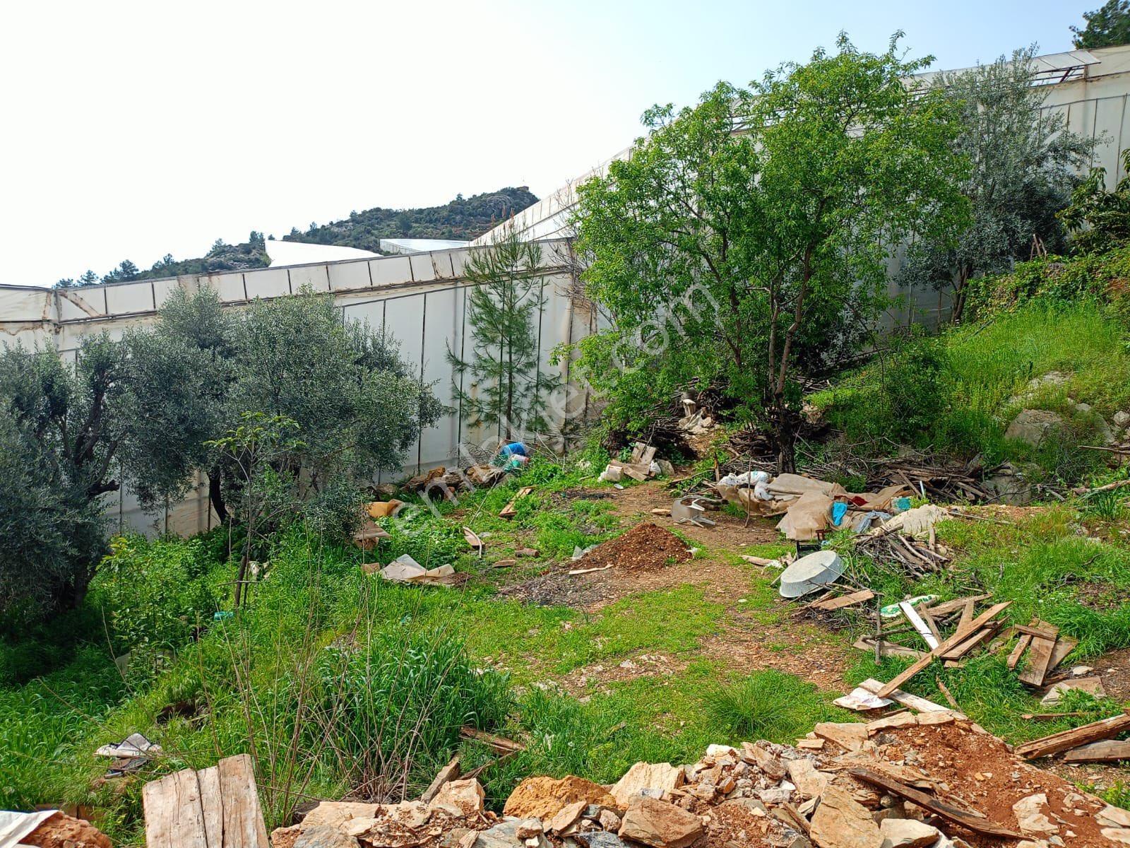 Acil Satılık Sera Bölgesinde, Suya Yakın, 780 M² Yatırımlık Arazi