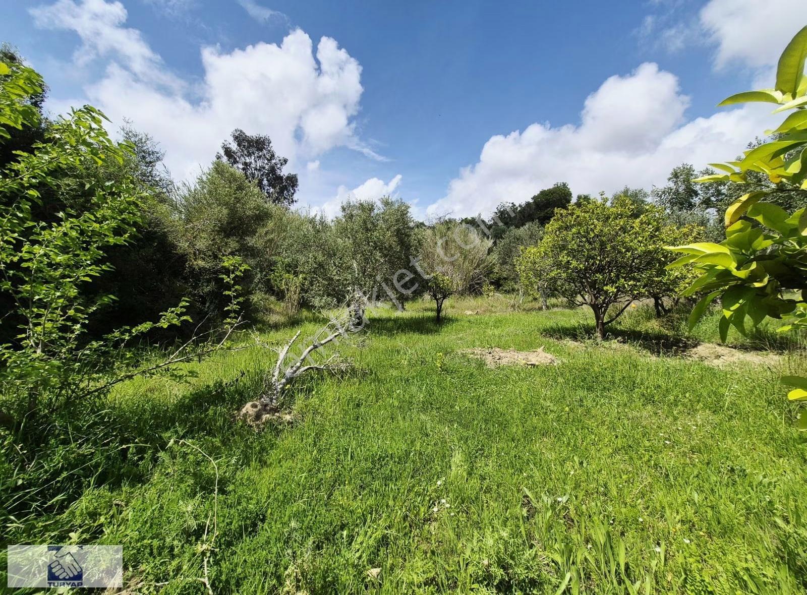 Manavgat Karacalar Köyiçinde 3.000m² İmarlı Arsa - Görsel 5
