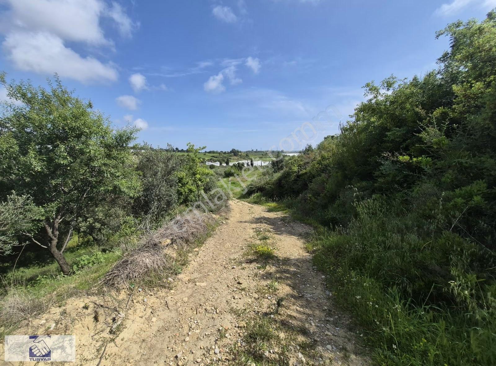 Manavgat Karacalar Köyiçinde 3.000m² İmarlı Arsa - Görsel 4
