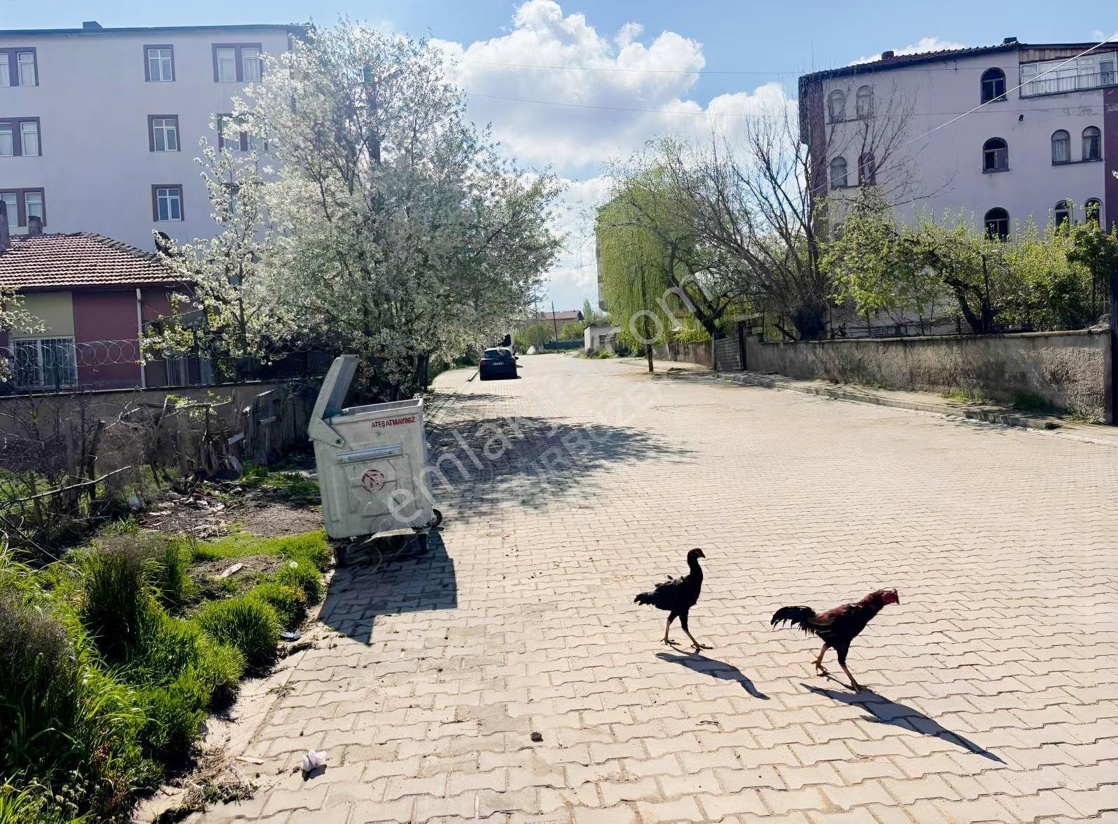 424 Mt İmarlı Arsa.düzgün Geometrik Şekli Merkeze Çok Yakın - Görsel 3