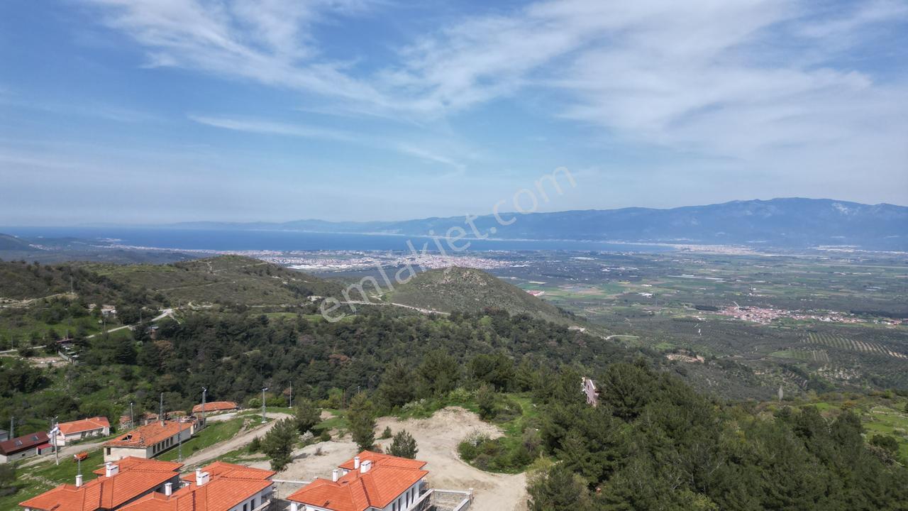 Burhanıye Çallı' Da Satılık 1500 M2 Arsa - Görsel 5