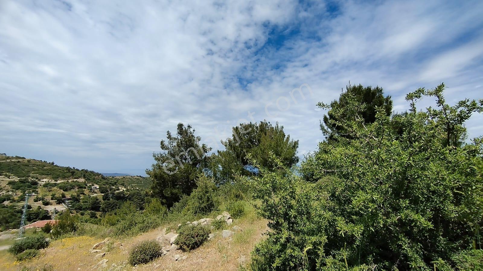 Burhanıye Çallı' Da Deniz Manzaralı İmarlı Satılık Arazi - Görsel 33