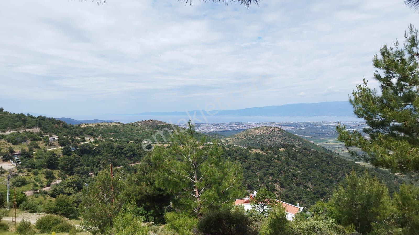 Burhanıye Çallı' Da Deniz Manzaralı İmarlı Satılık Arazi - Görsel 28