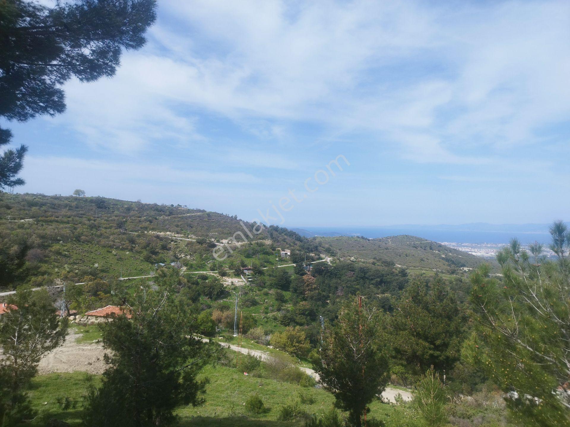 Burhanıye Çallı' Da Deniz Manzaralı İmarlı Satılık Arazi - Görsel 5