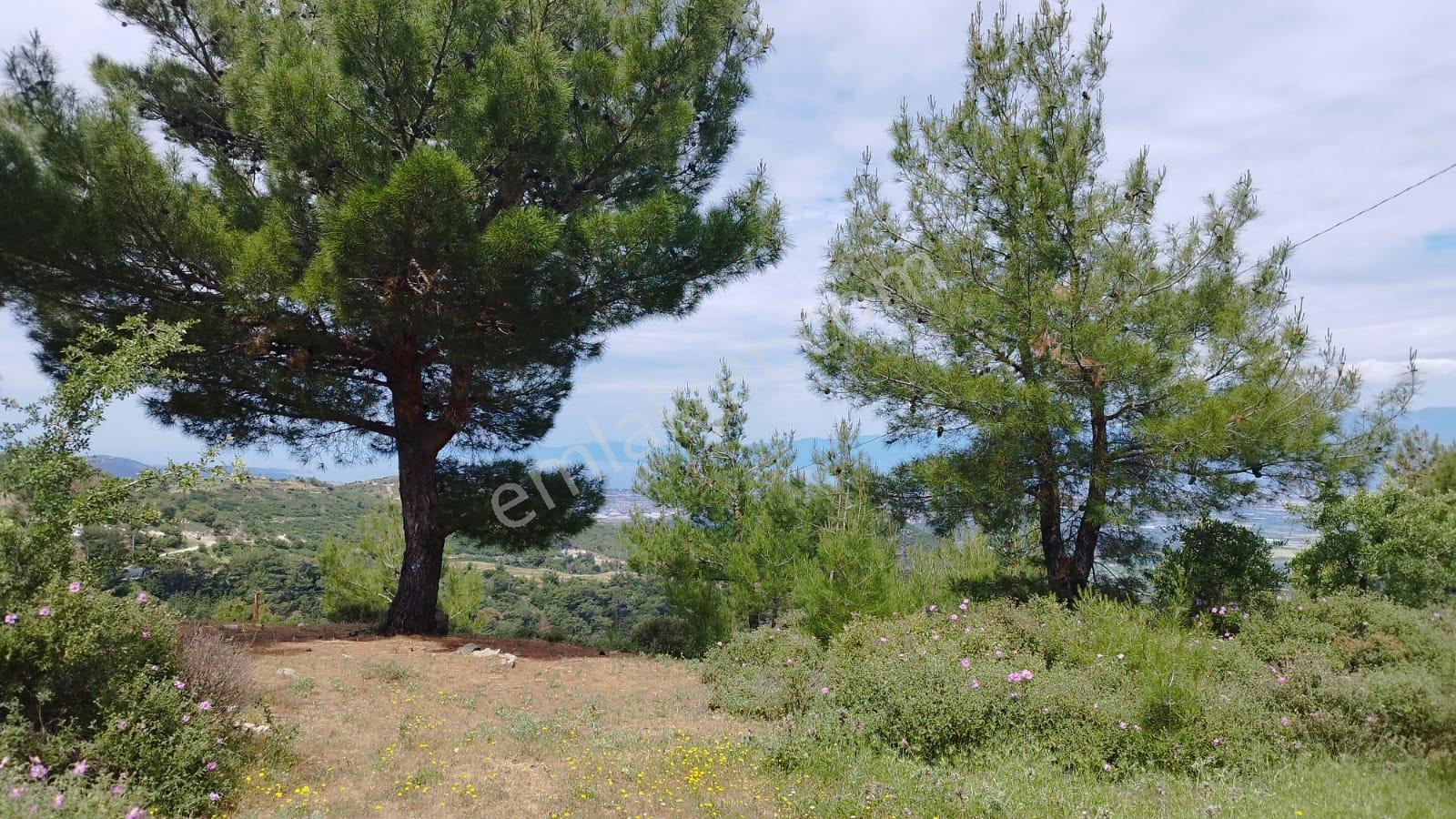 Burhanıye Çallı' Da Deniz Manzaralı İmarlı Satılık Arazi - Görsel 34