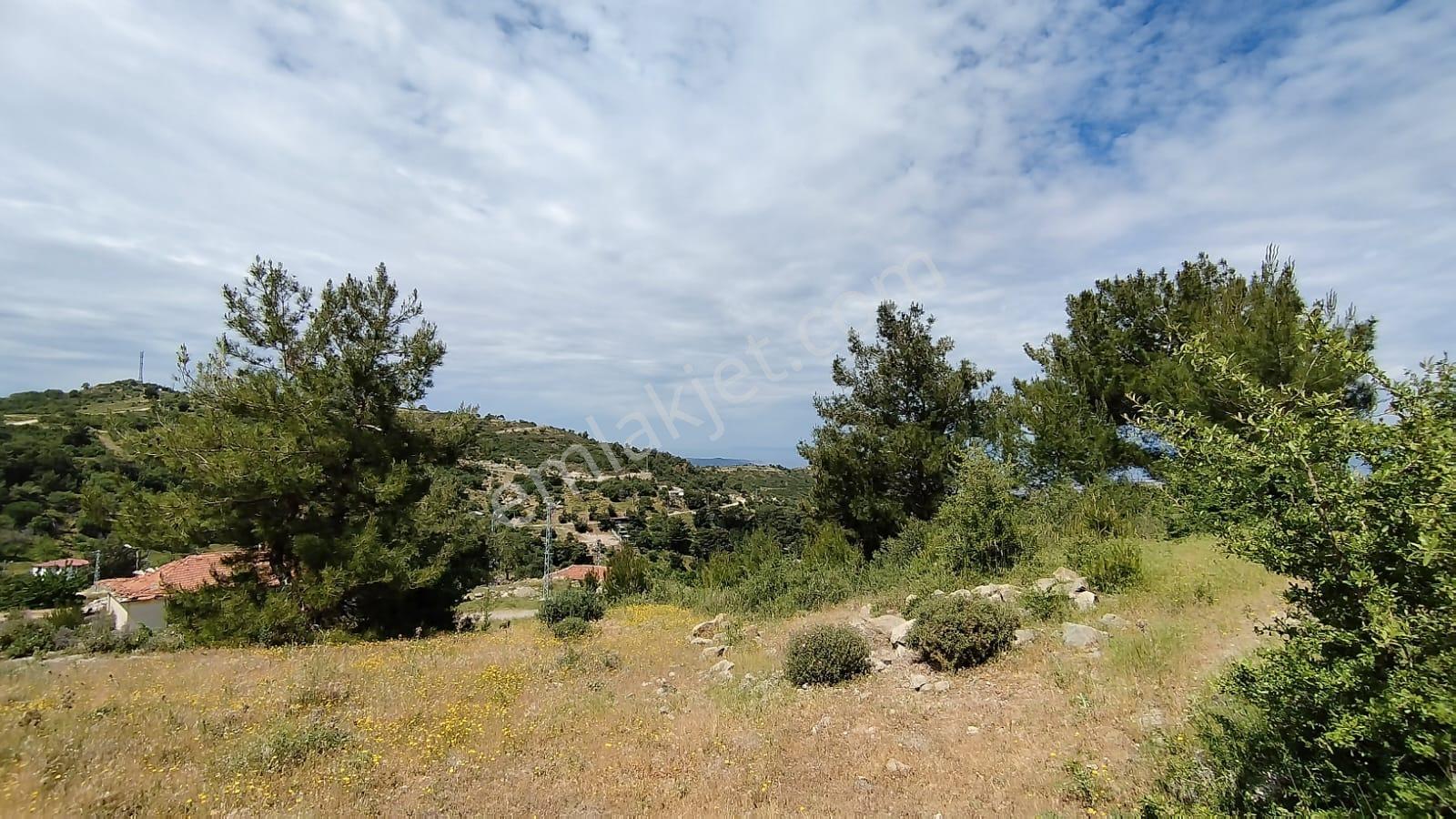 Burhanıye Çallı' Da Deniz Manzaralı İmarlı Satılık Arazi - Görsel 29