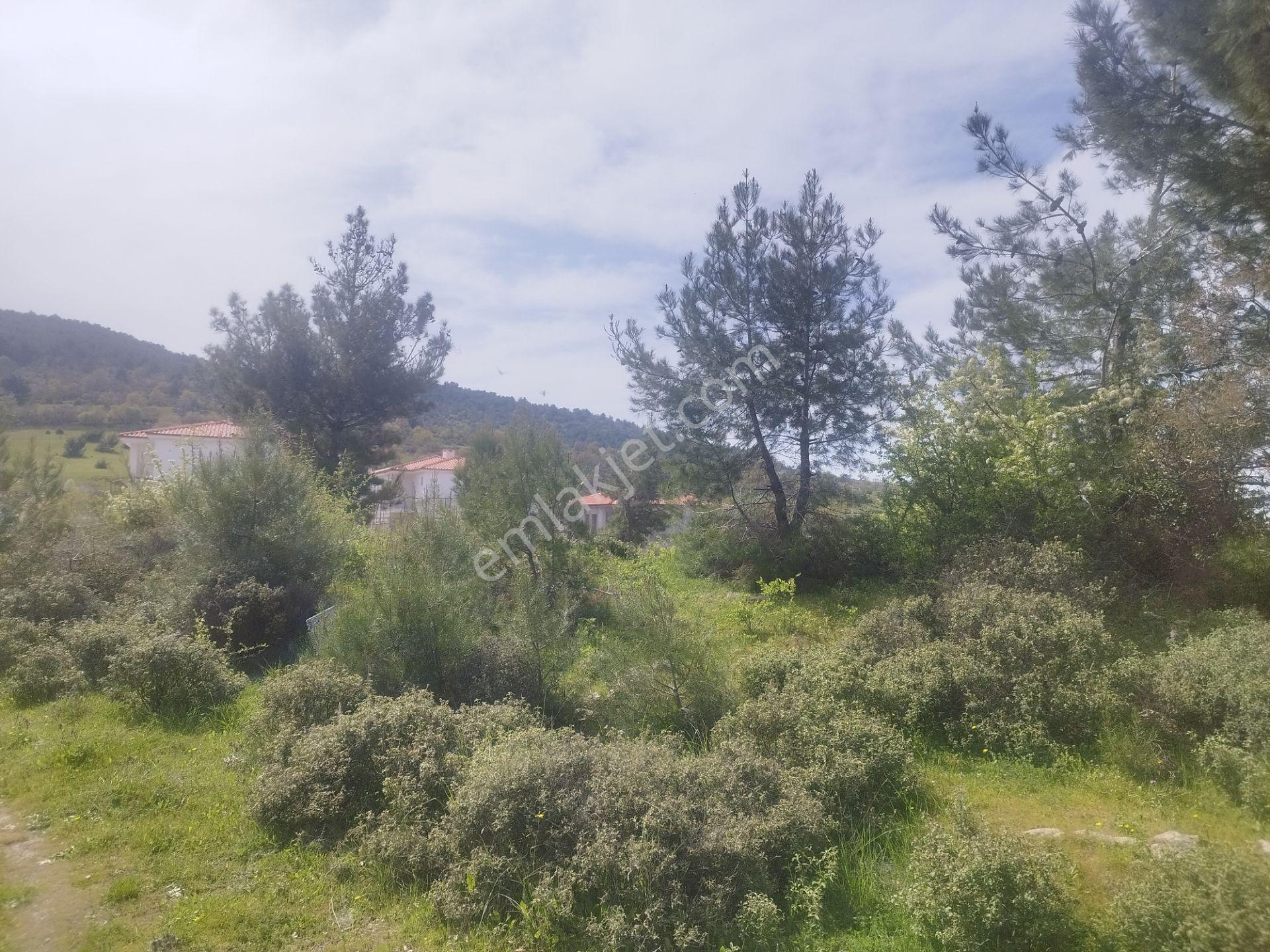 Burhanıye Çallı' Da Deniz Manzaralı İmarlı Satılık Arazi - Görsel 21