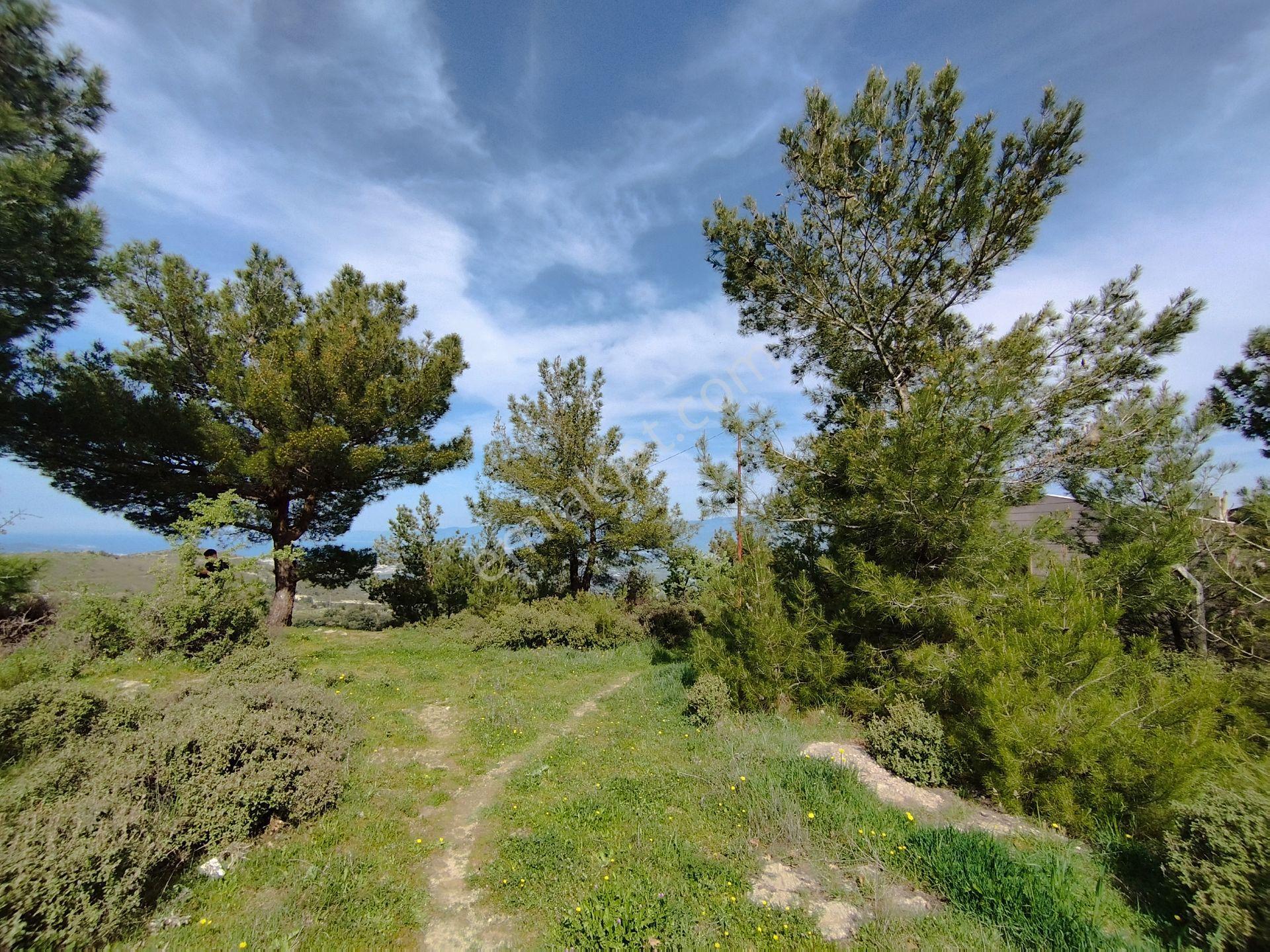 Burhanıye Çallı' Da Deniz Manzaralı İmarlı Satılık Arazi - Görsel 23