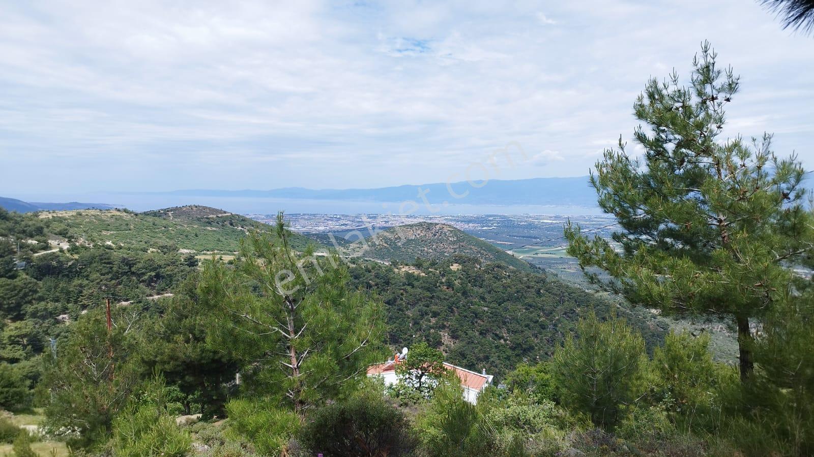 Burhaniye Çallı'da Köy İçinde Satılık Arazi - Görsel 12