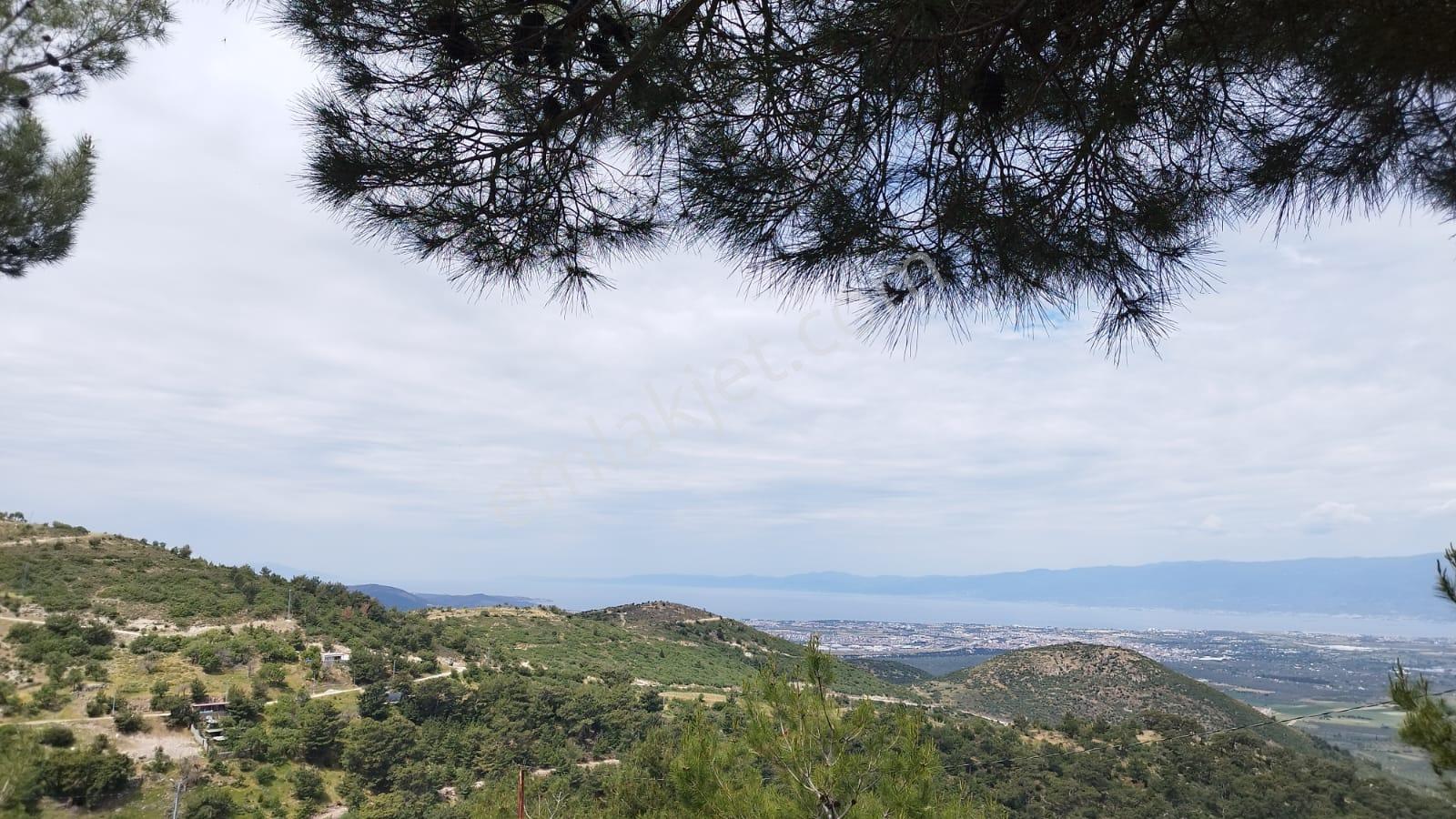 Burhaniye Çallı'da Köy İçinde Satılık Arazi - Görsel 14