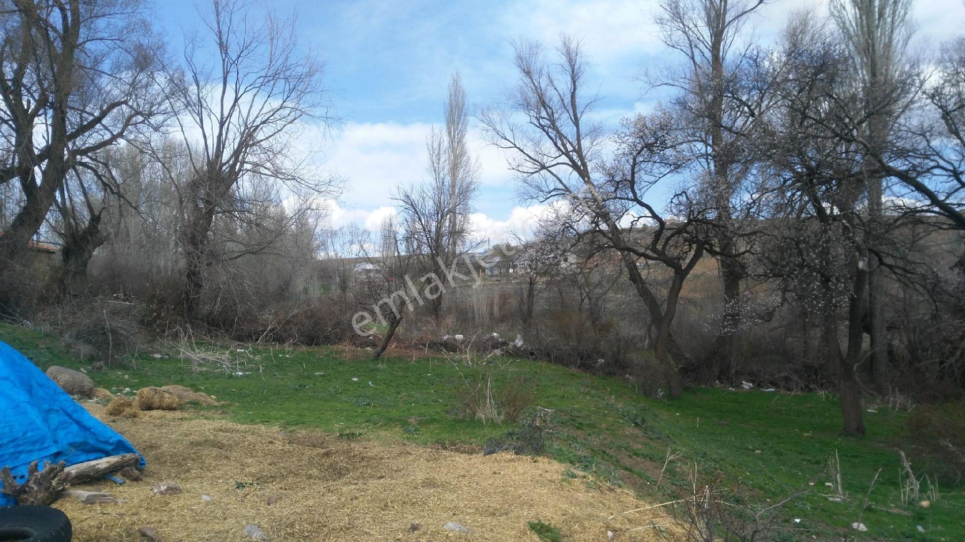 ...satılık... Kayseri Pınarbaşı... - Görsel 10