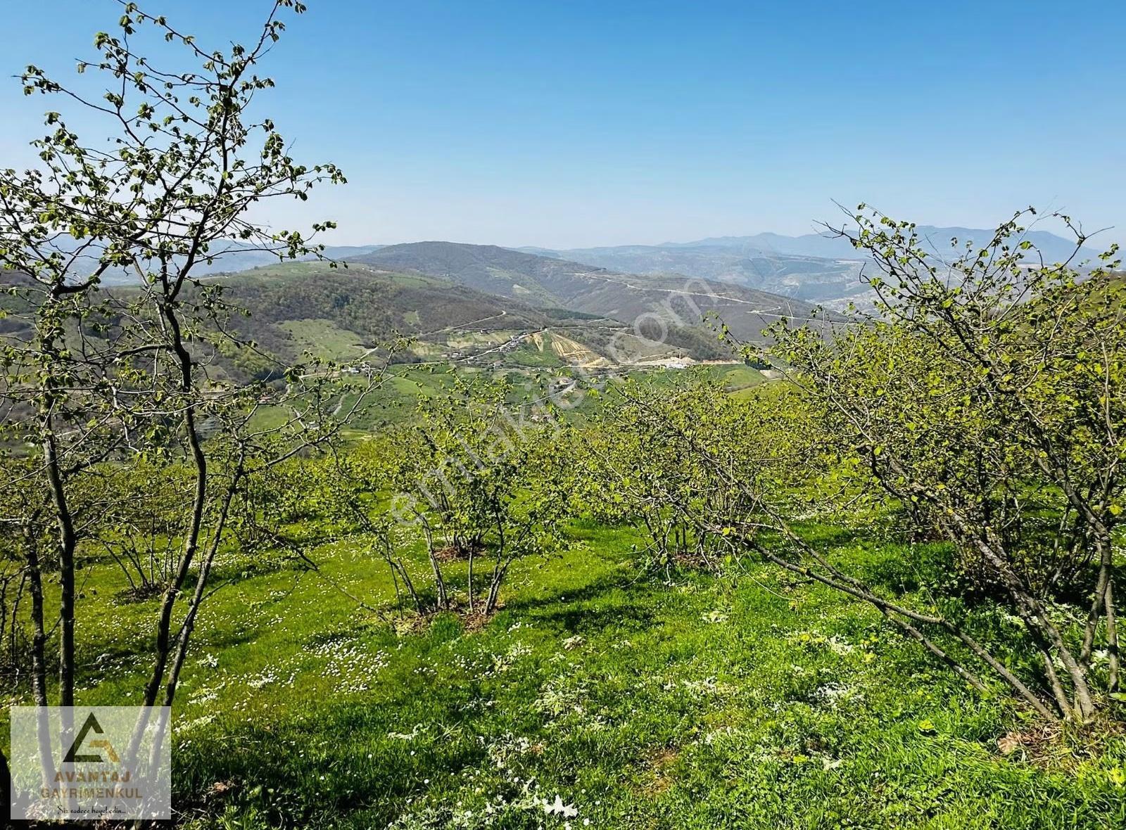 Avantaj Gayrimenkul'den Canik'te Satılık Tarla