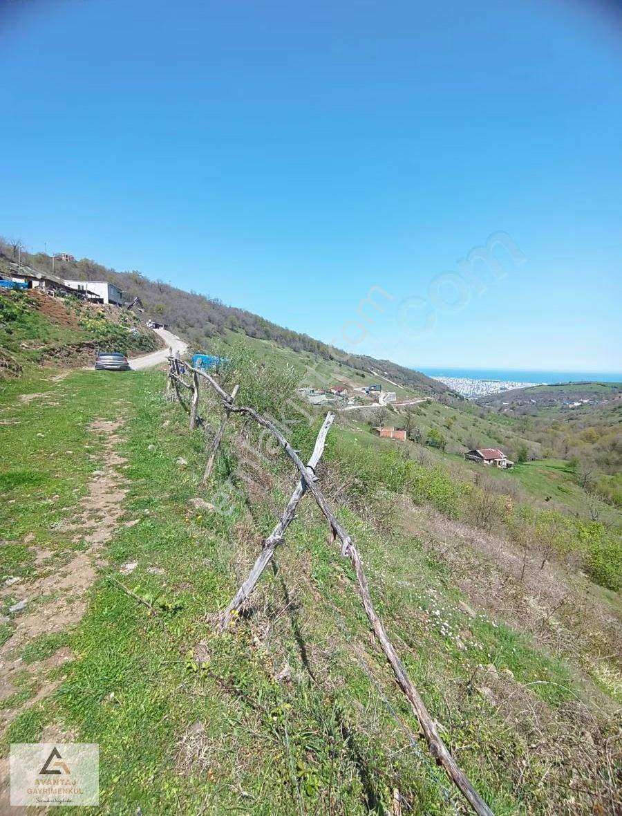 Avantaj Gayrimenkul'den Canik'te Satılık Tarla - Görsel 24
