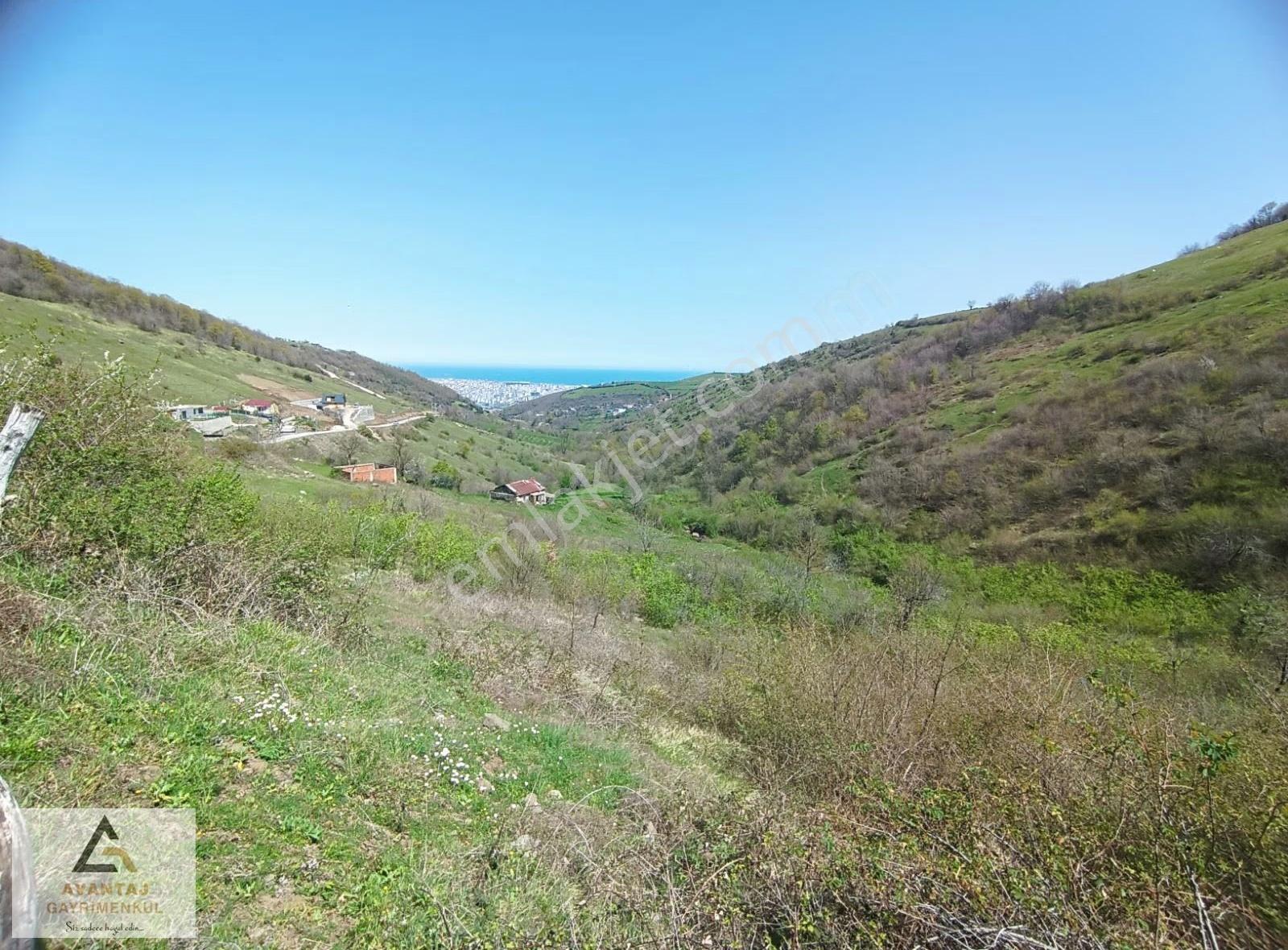 Avantaj Gayrimenkul'den Canik'te Satılık Tarla - Görsel 23