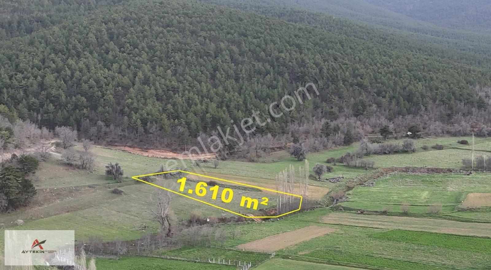 Ilgın Gökbudak Mahallesinde 1.610 M² Müstakil Tapulu Tarla - Görsel 6
