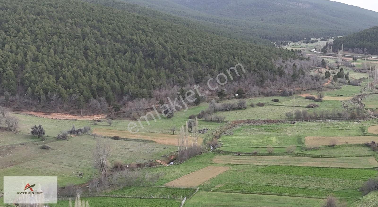 Ilgın Gökbudak Mahallesinde 1.610 M² Müstakil Tapulu Tarla - Görsel 7