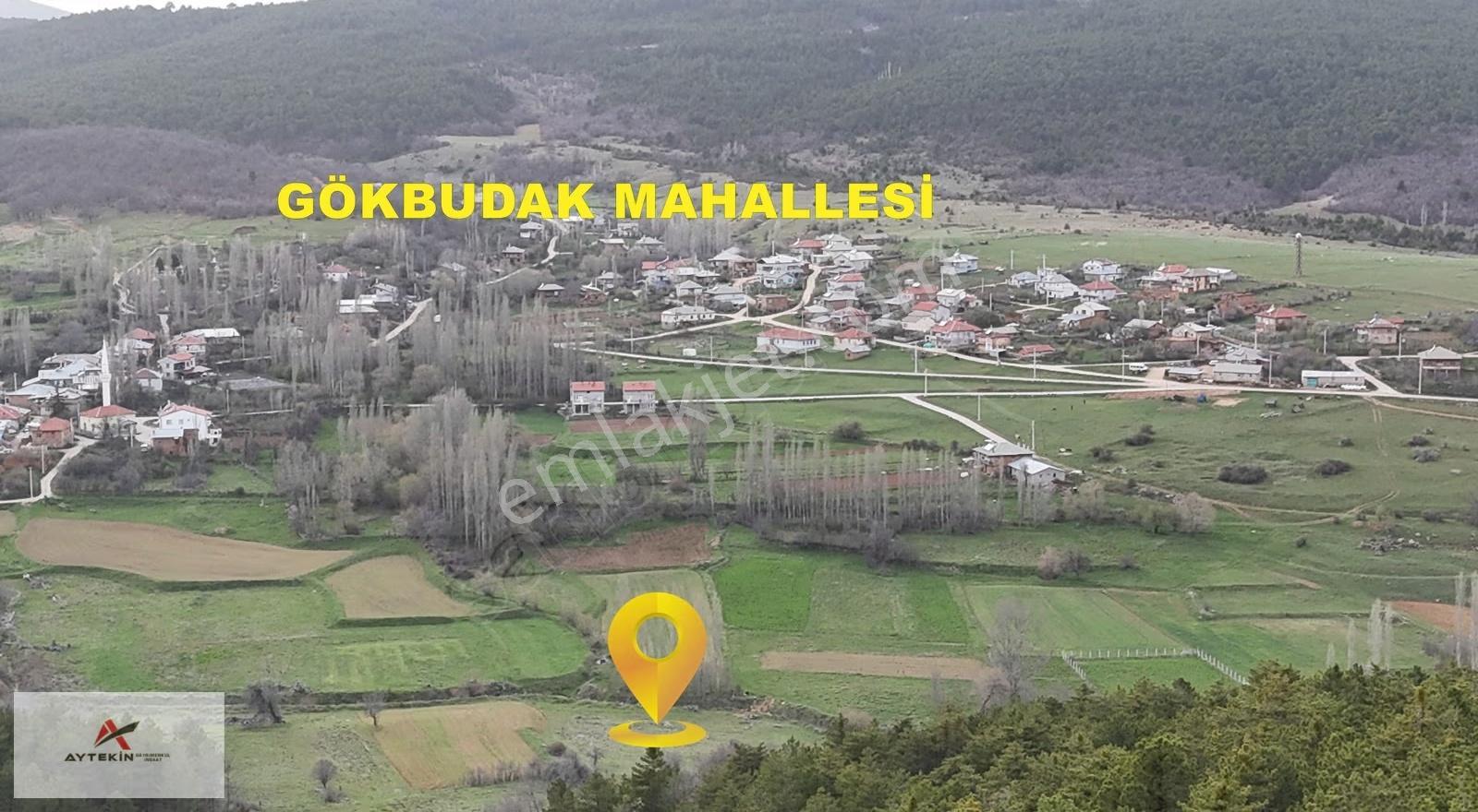 Ilgın Gökbudak Mahallesinde 1.610 M² Müstakil Tapulu Tarla - Görsel 2