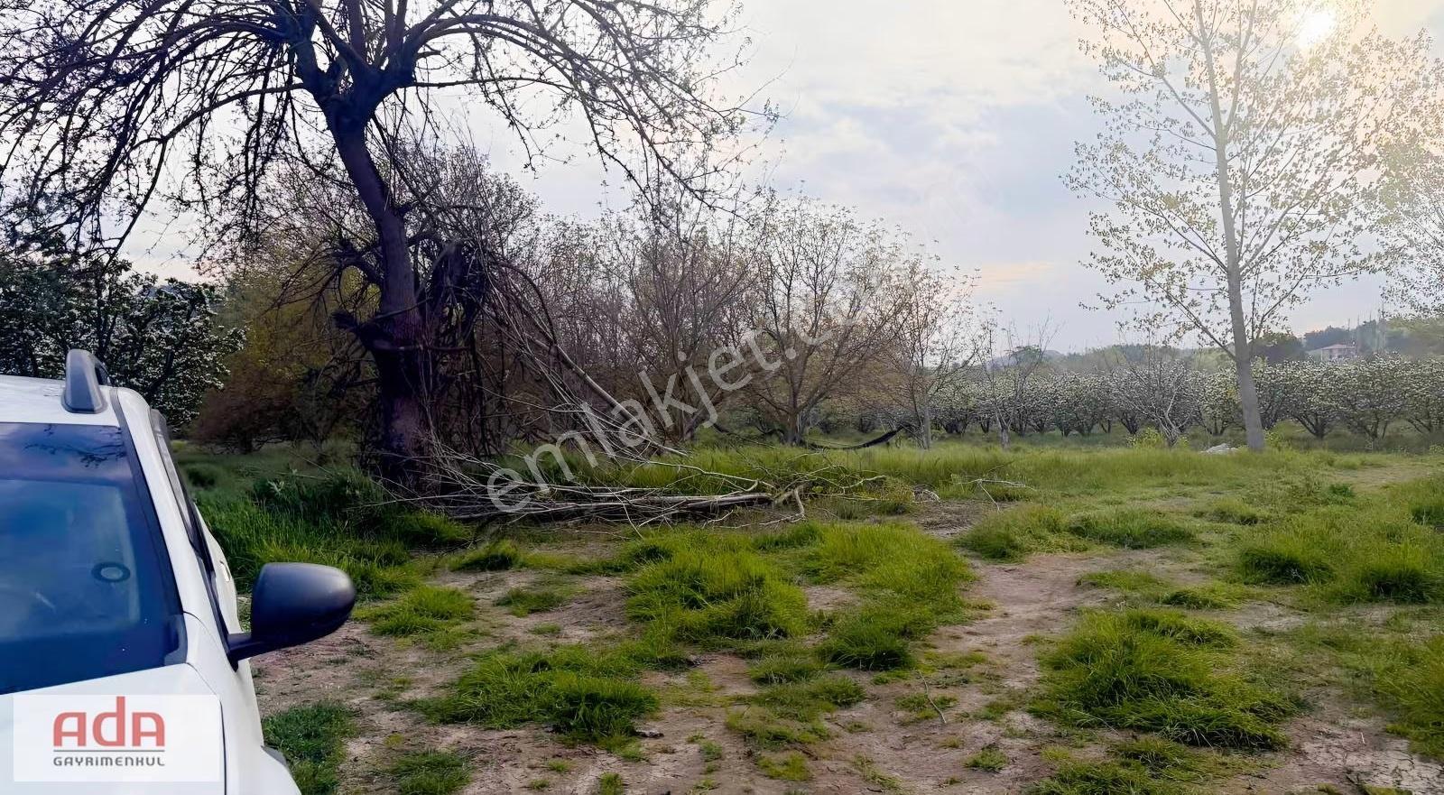 Geyve Karacaörende Ruhsatlı, Projeli, Doğa Manzaralı Arsa - Görsel 5