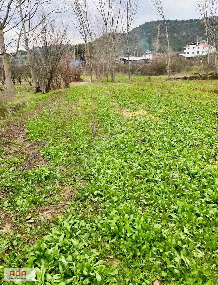 Geyve Karacaörende Ruhsatlı, Projeli, Doğa Manzaralı Arsa - Görsel 21