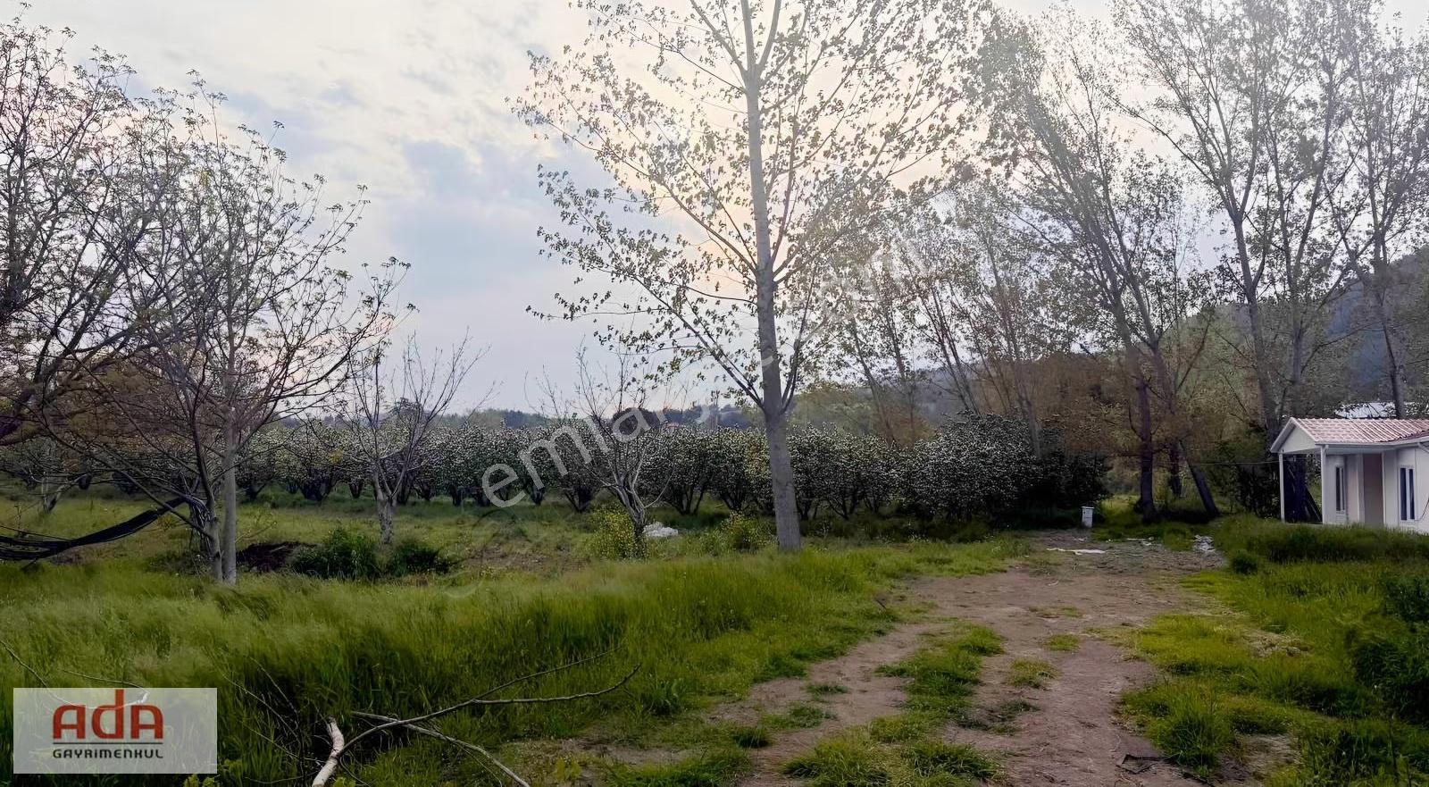 Geyve Karacaörende Ruhsatlı, Projeli, Doğa Manzaralı Arsa - Görsel 24