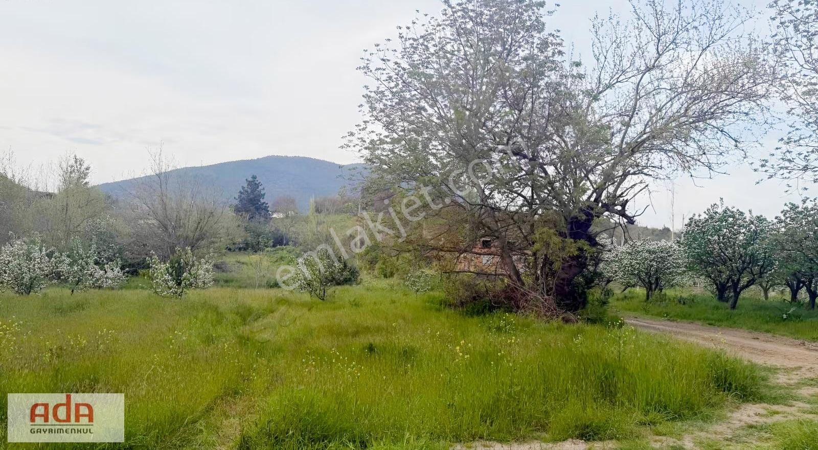 Geyve Karacaörende Ruhsatlı, Projeli, Doğa Manzaralı Arsa - Görsel 8