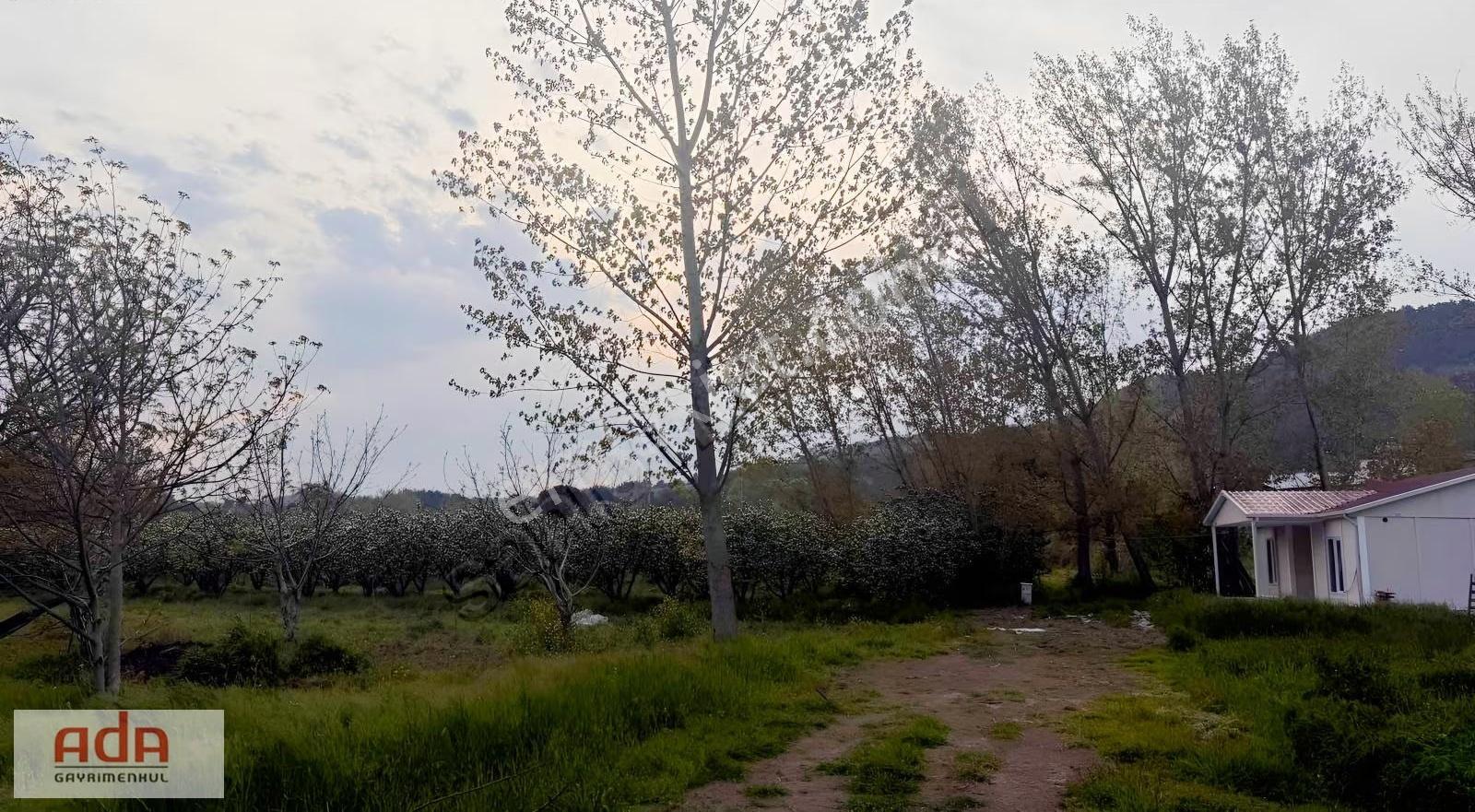 Geyve Karacaörende Ruhsatlı, Projeli, Doğa Manzaralı Arsa - Görsel 11
