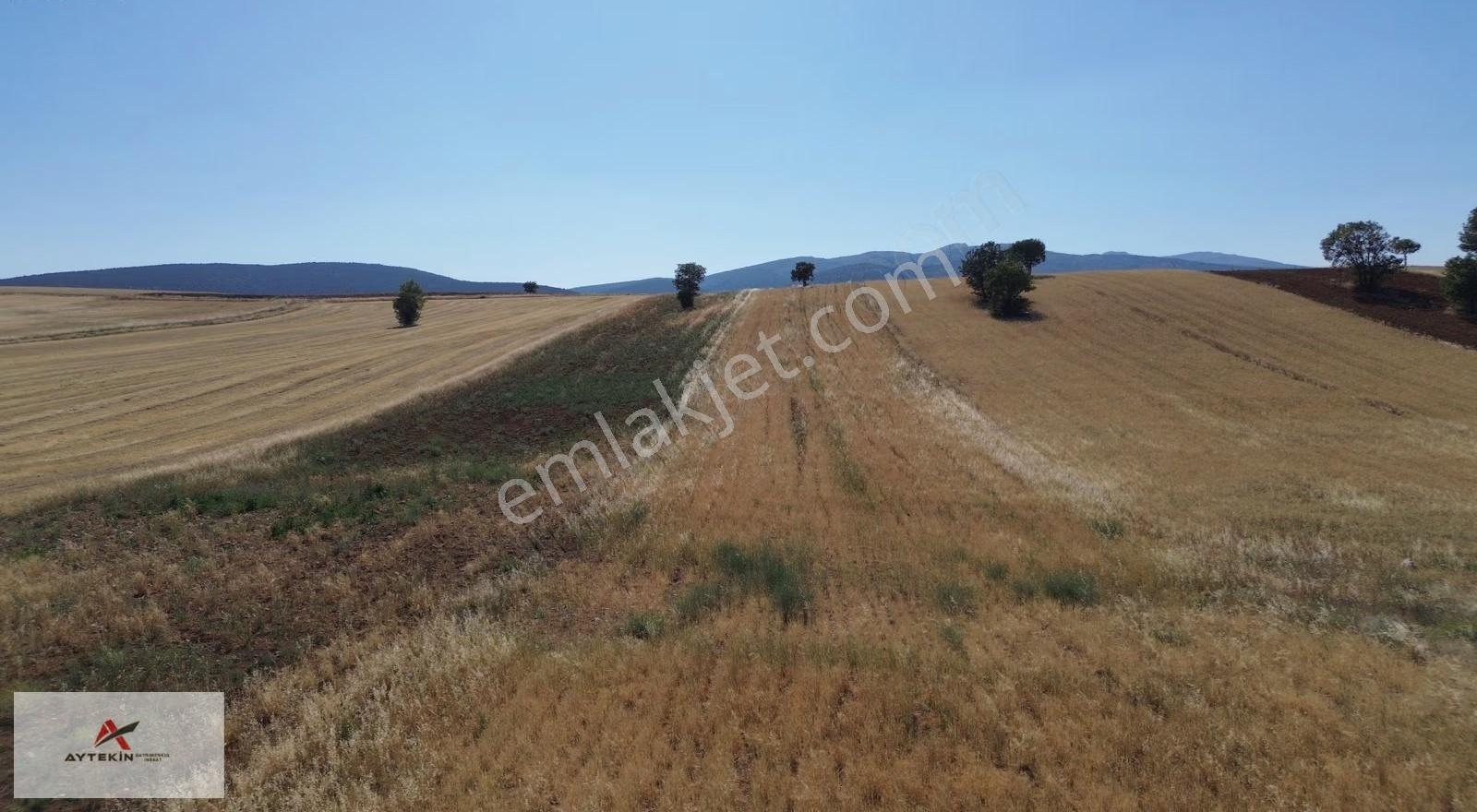 Akören Alan Mahallesinde 4.022 M² Müstakil Tapulu Tarla - Görsel 5