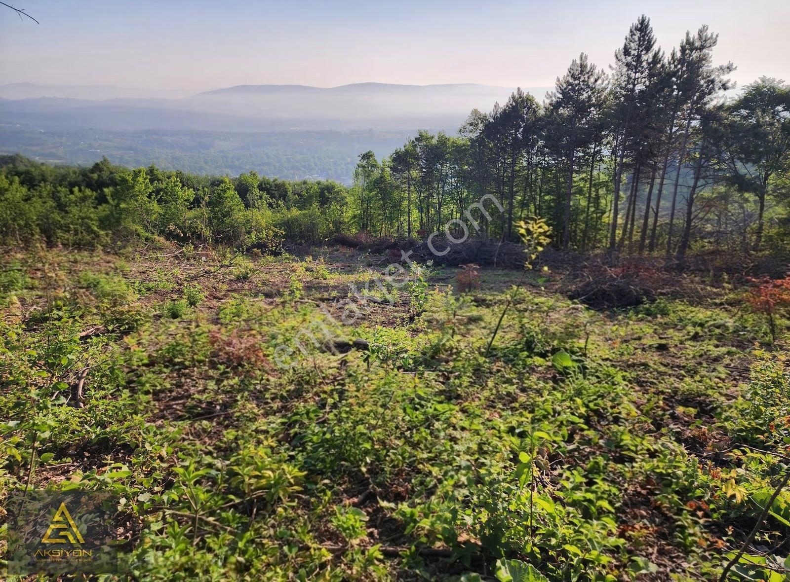 Bursa Kestel Kozluören De Manzaralı Satılık Bahçe - Görsel 21