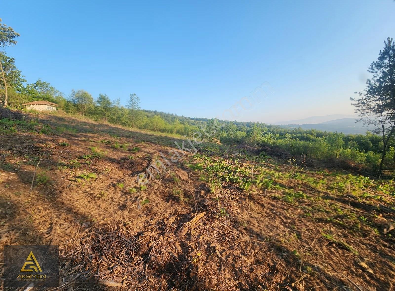 Bursa Kestel Kozluören De Manzaralı Satılık Bahçe - Görsel 7