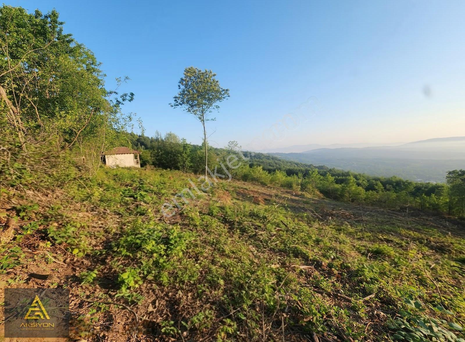 Bursa Kestel Kozluören De Manzaralı Satılık Bahçe - Görsel 6