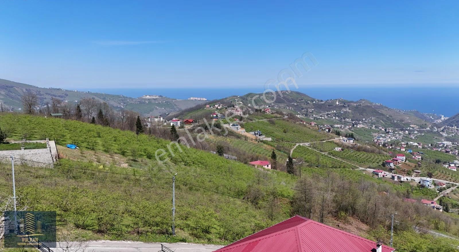 Vyg'den Ortahisar Ayvalıda Satılık 3177 M² Villalık Arsa - Görsel 2