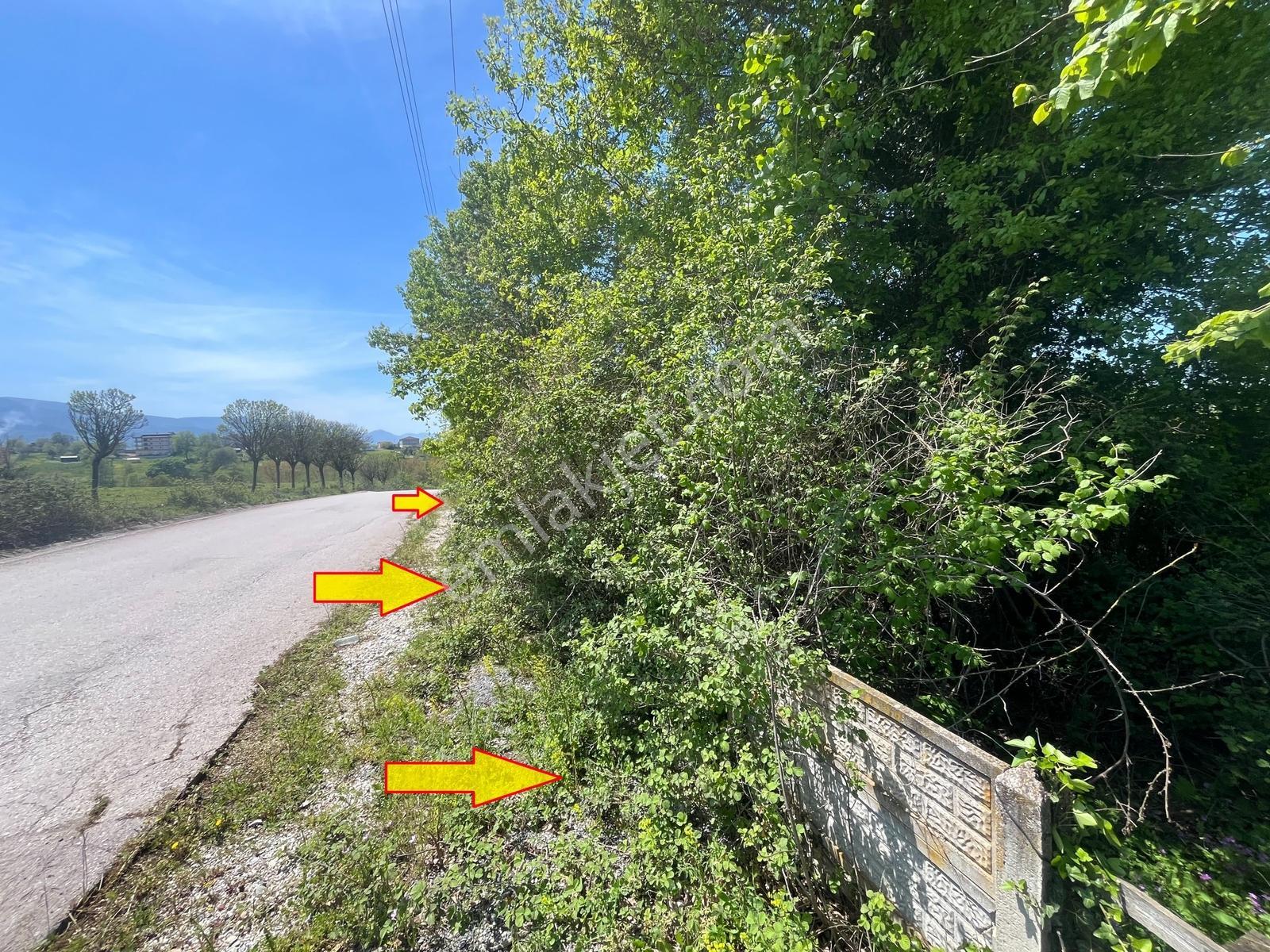 Kartepe Uzuntarla'da 1.345 M2 İmarlı Güzel Arsa - Görsel 25