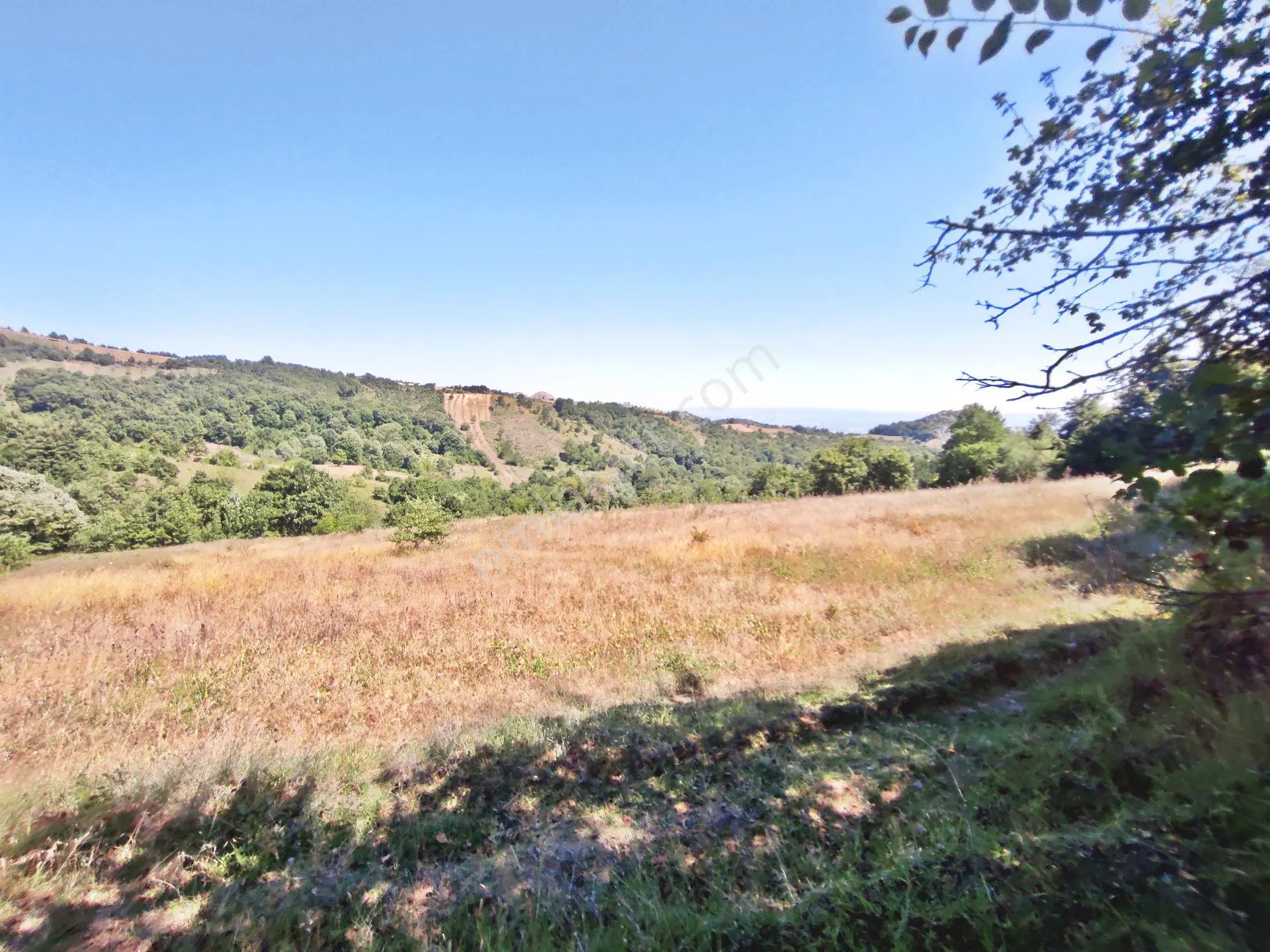 Yenişehir Kirazlı Yayala Da Doğa Manzaralı - 2590 -m2- Tarla - Görsel 5