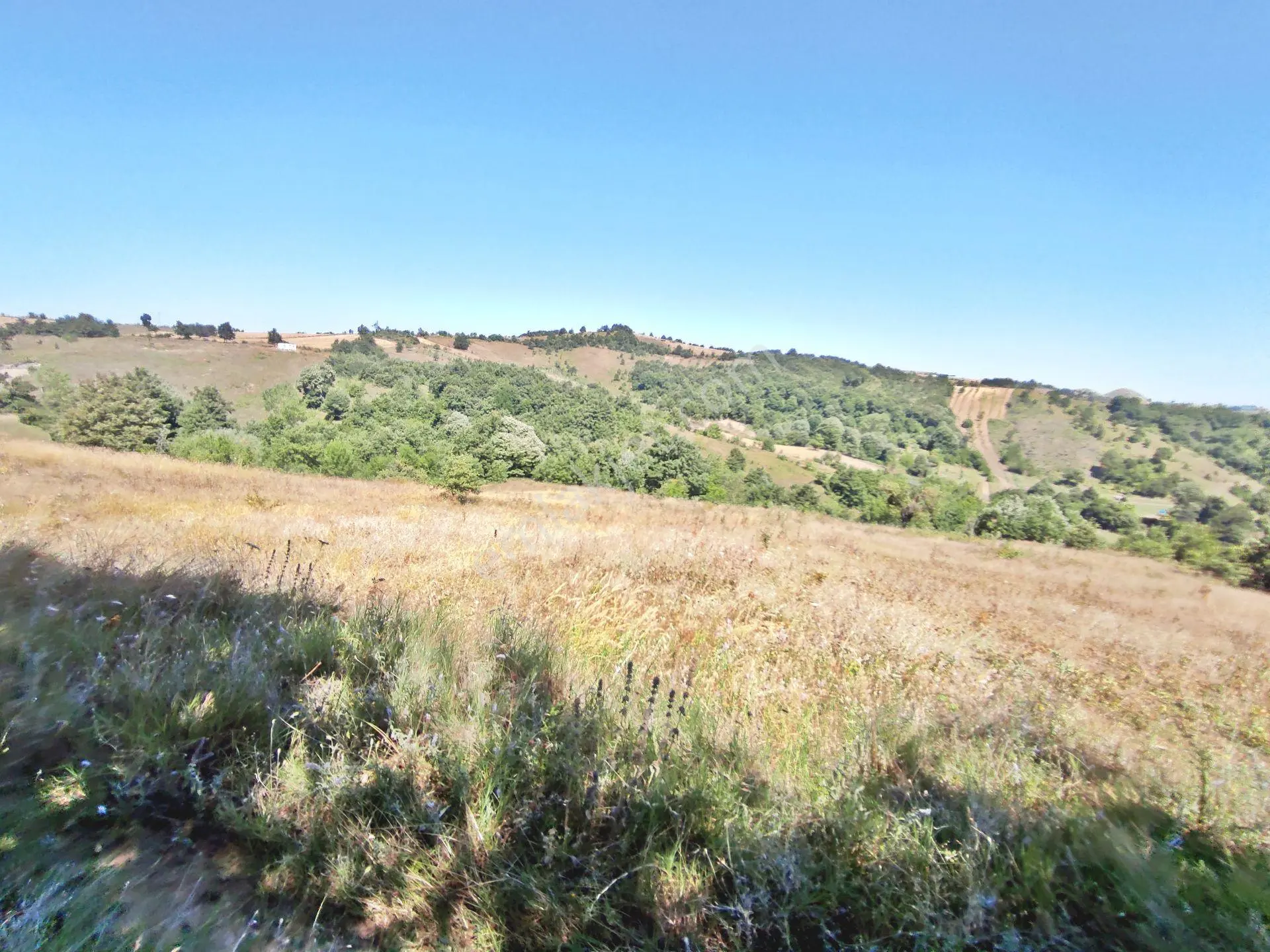 Yenişehir Kirazlı Yayala Da Doğa Manzaralı - 2590 -m2- Tarla - Görsel 3
